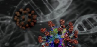 Coronavirus e Medicina Tradizionale Cinese Coronavirus e fitoterapia