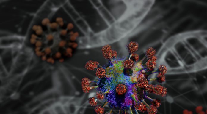 Coronavirus e Medicina Tradizionale Cinese Coronavirus e fitoterapia