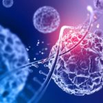 Microbiota ed immunomodulazione microbiota