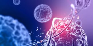 Microbiota ed immunomodulazione microbiota