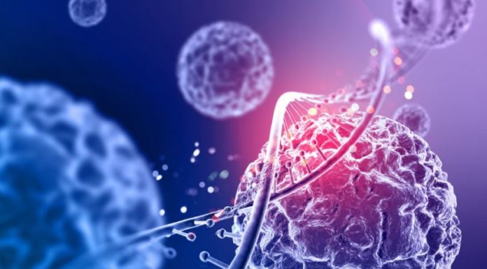 Microbiota ed immunomodulazione microbiota
