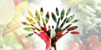 Alimentazione, infiammazione e stress ossidativo alimentazione