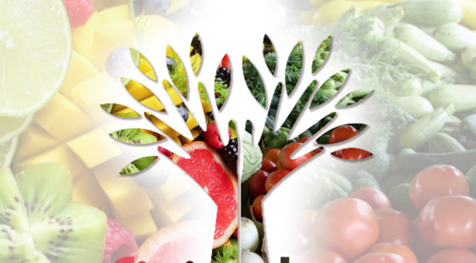 Alimentazione, infiammazione e stress ossidativo alimentazione