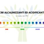 Cibi alcalinizzanti ed acidificanti cibi