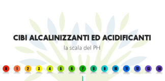 Cibi alcalinizzanti ed acidificanti cibi