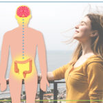 L’asse intestino-cervello: Microbiota-Brain-Gut axis il secondo cervello cervello