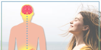 L’asse intestino-cervello: Microbiota-Brain-Gut axis il secondo cervello cervello