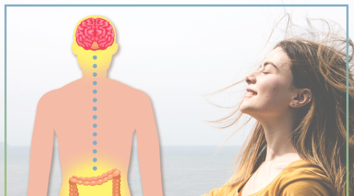 L’asse intestino-cervello: Microbiota-Brain-Gut axis il secondo cervello cervello