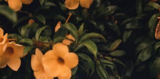 Invecchia bene con uno stile di vita sano! stile di vita sano