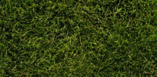 Plantari su misura: presidi ortopedici plantari