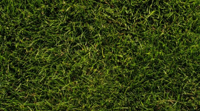Plantari su misura: presidi ortopedici plantari