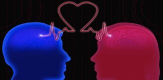 La torre di controllo del cuore è nel cervello