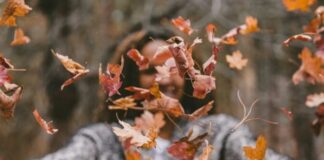 Malattie di fine estate e dell’autunno autunno